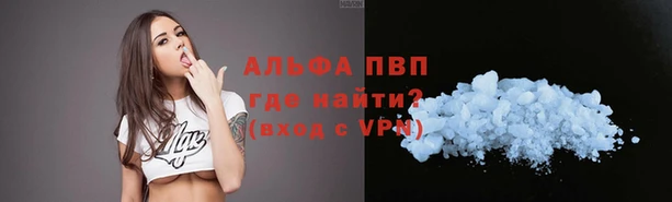 сатива Алзамай