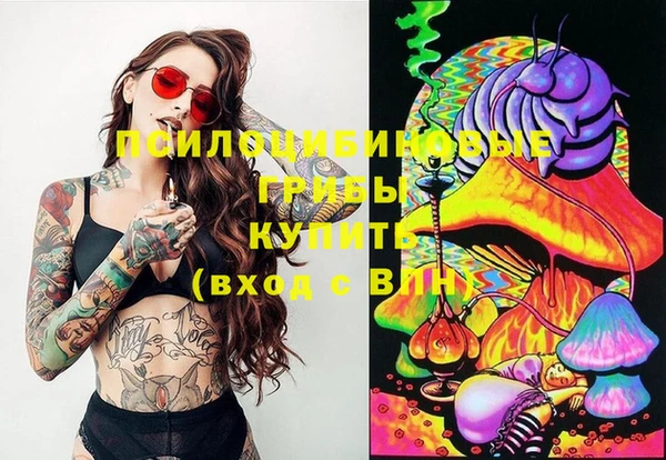 крисы Михайловск