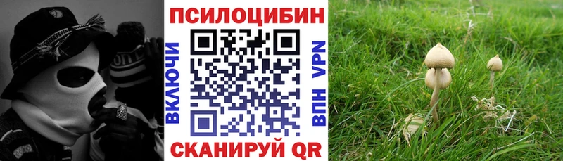 Псилоцибиновые грибы мухоморы  Туапсе 